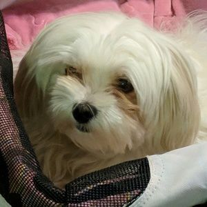 Meet your Posher, Trina